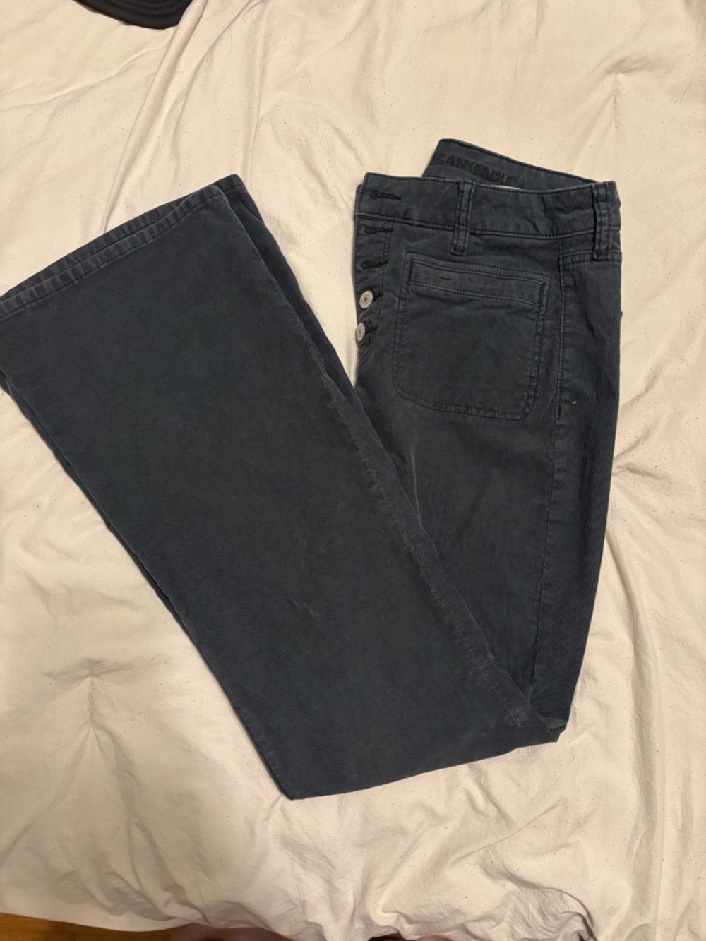 American Eagle Navy Blue Corduroy Button-Fly Pants